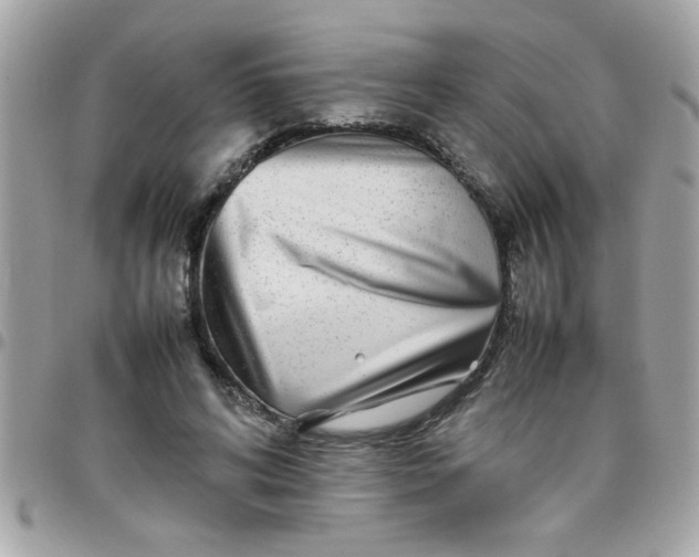 X0000097780592200803211800