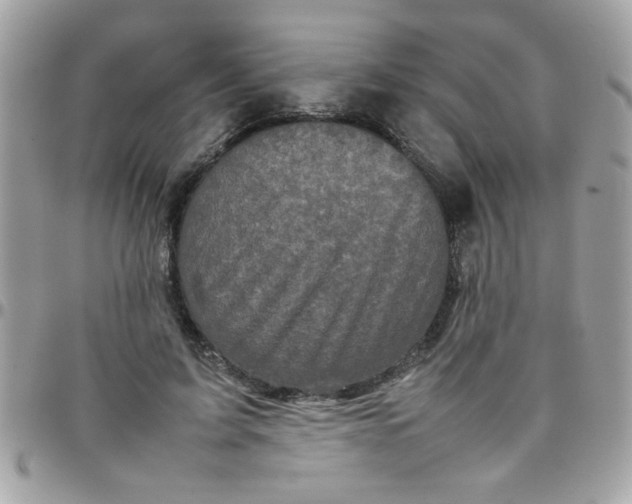 X0000097780595200803211800