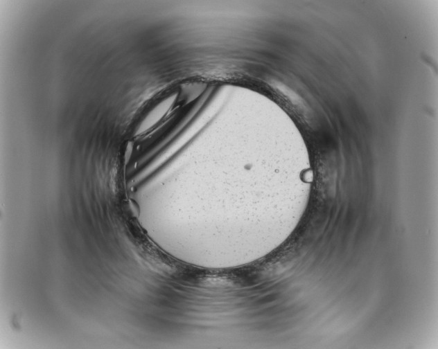 X0000097780596200803211800