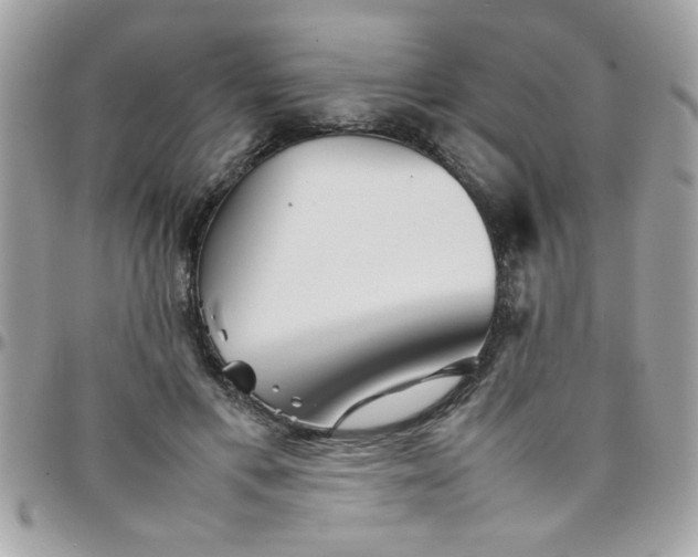 X0000097780597200803211800