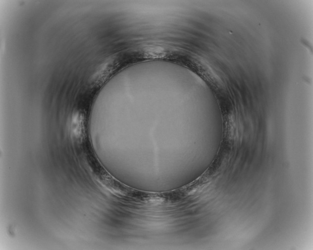 X0000097780598200803211800