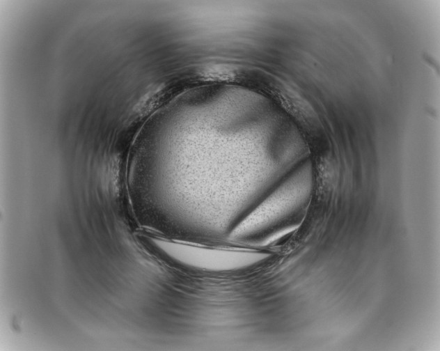 X0000097780600200803211800