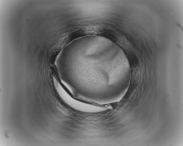 X0000097780601200803211800