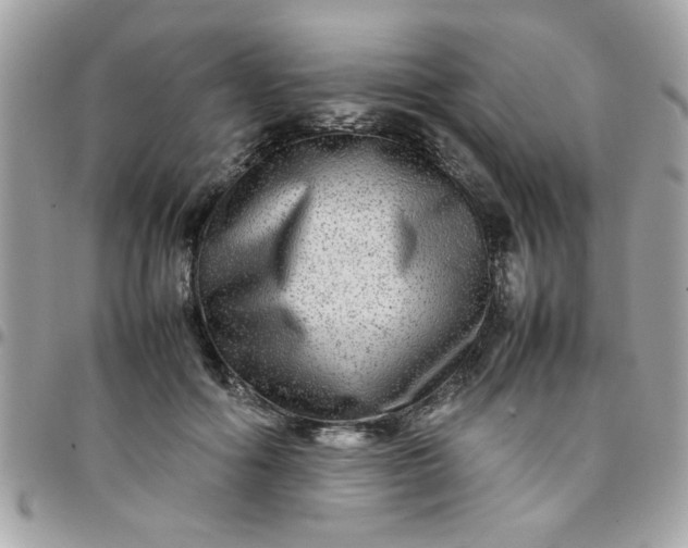 X0000097780602200803211800