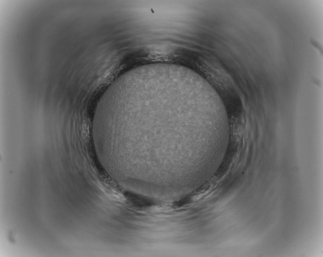 X0000097780603200803211800