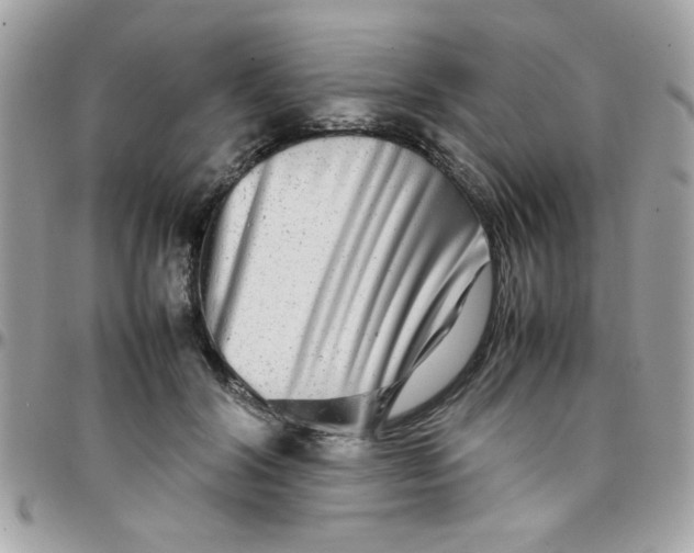 X0000097780604200803211800