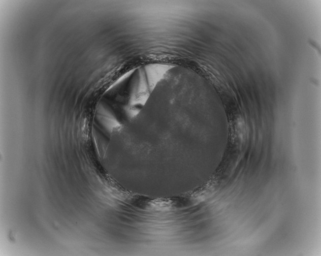 X0000097780606200803211800