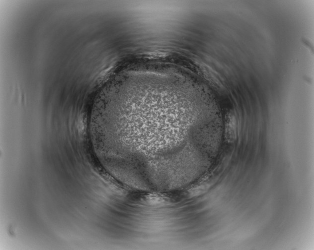 X0000097780608200803211800