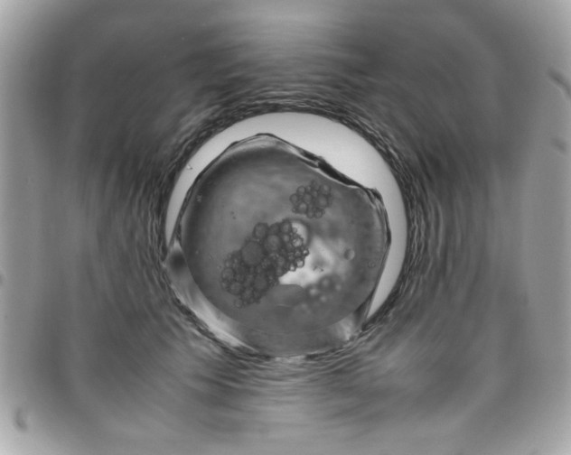 X0000097780609200803211800