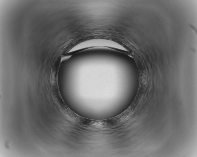 X0000097780611200803211800