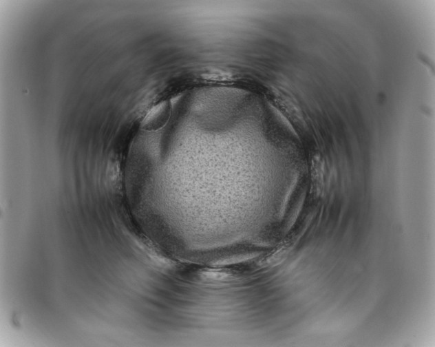 X0000097780614200803211800