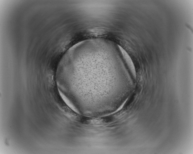 X0000097780615200803211800