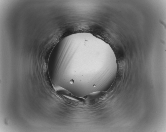 X0000097780617200803211800