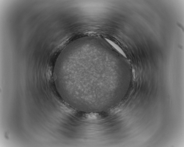 X0000097780618200803211800