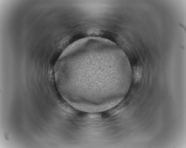 X0000097780619200803211800