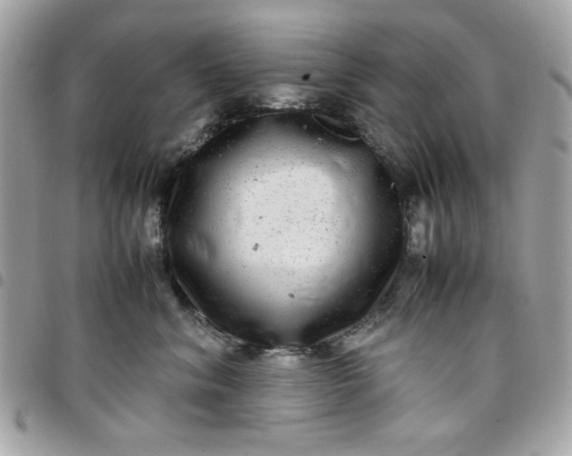 X0000097780620200803211800