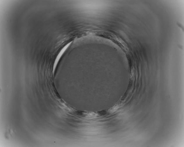 X0000097780621200803211800