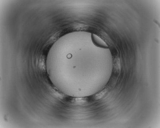 X0000097780622200803211800