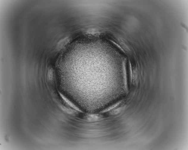 X0000097780623200803211800