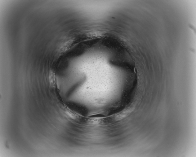 X0000097780624200803211800