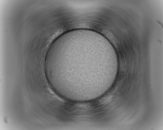 X0000097780625200803211759