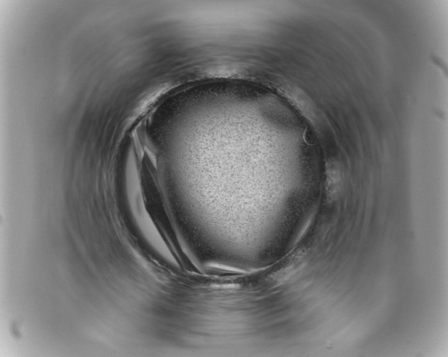 X0000097780626200803211759