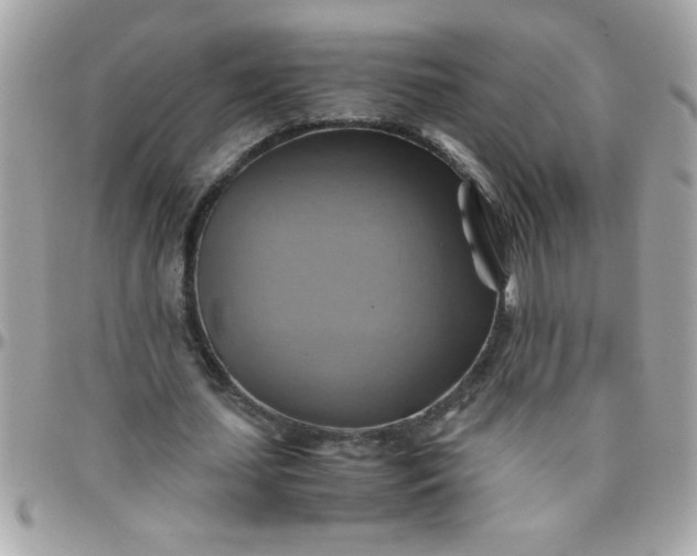 X0000097780627200803211759