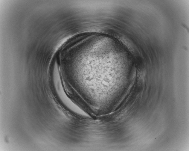 X0000097780628200803211759