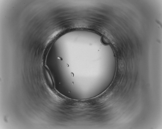 X0000097780629200803211759