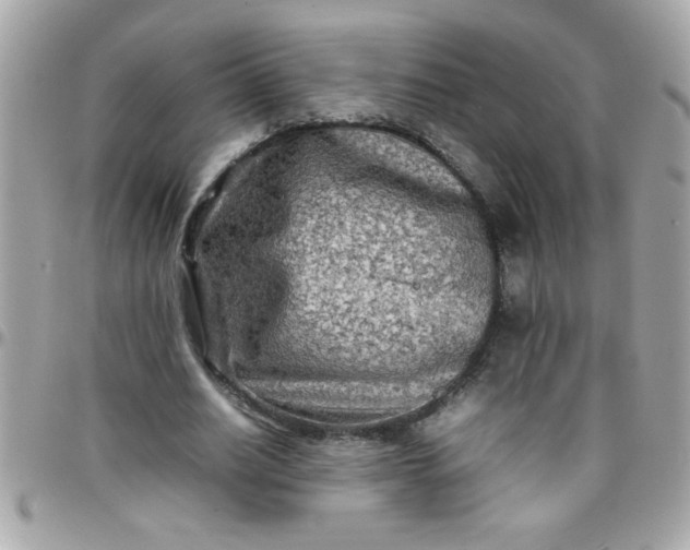 X0000097780630200803211759