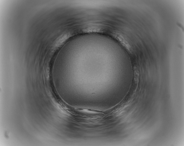 X0000097780631200803211759