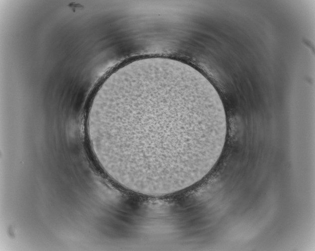 X0000097780632200803211759