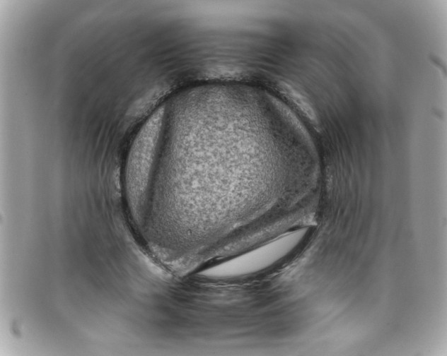 X0000097780633200803211759