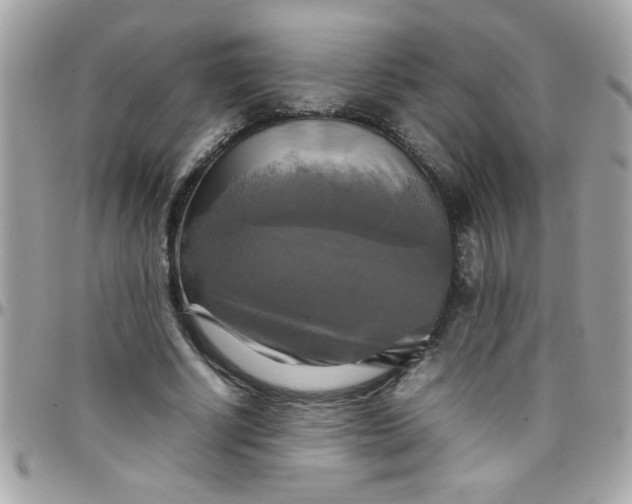 X0000097780634200803211759