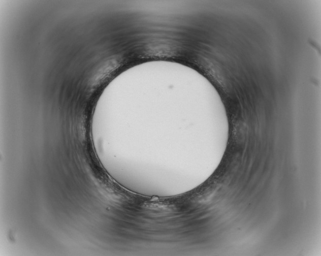 X0000097780635200803211759