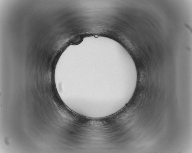 X0000097780636200803211759