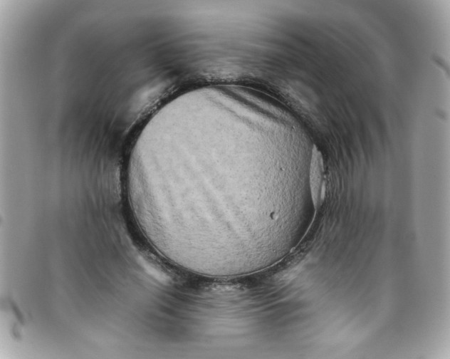 X0000097780638200803211759