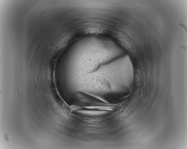 X0000097780639200803211759