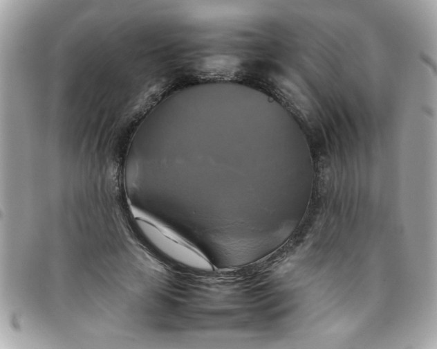 X0000097780641200803211800