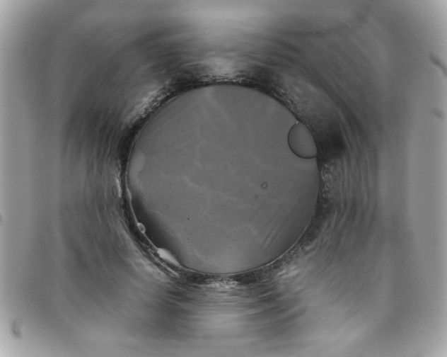 X0000097780642200803211800