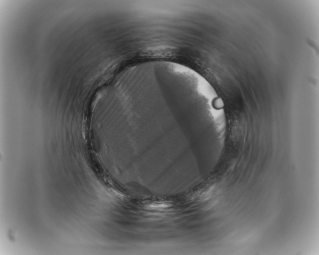 X0000097780643200803211800