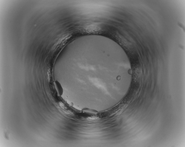 X0000097780644200803211800