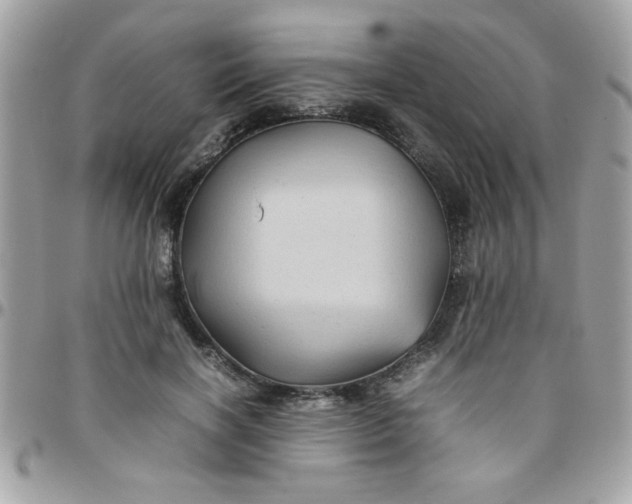 X0000097780646200803211800