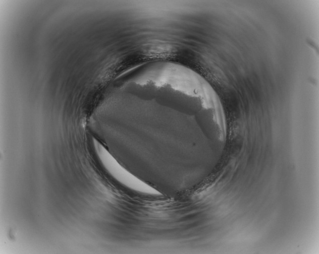 X0000097780647200803211800