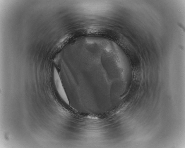 X0000097780648200803211800