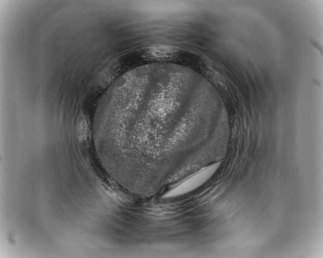 X0000097780651200803211800