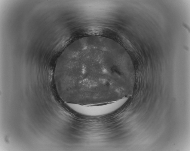 X0000097780652200803211800