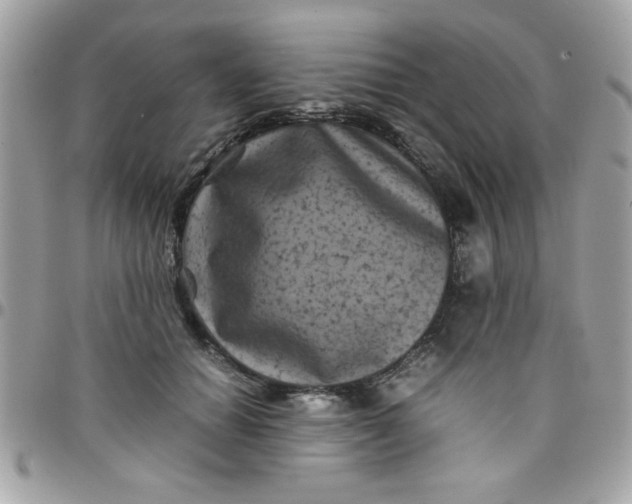 X0000097780654200803211800