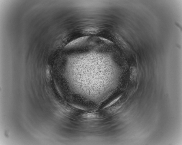 X0000097780655200803211800