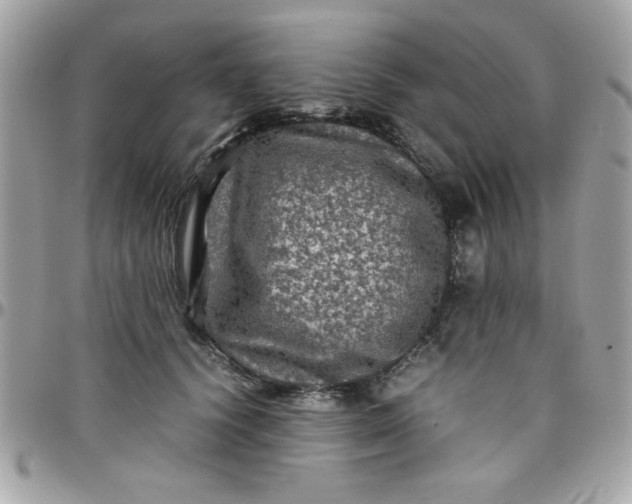 X0000097780656200803211800